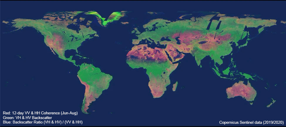 Sentinel-1 Coherence and Backscatter - Global Mosaic