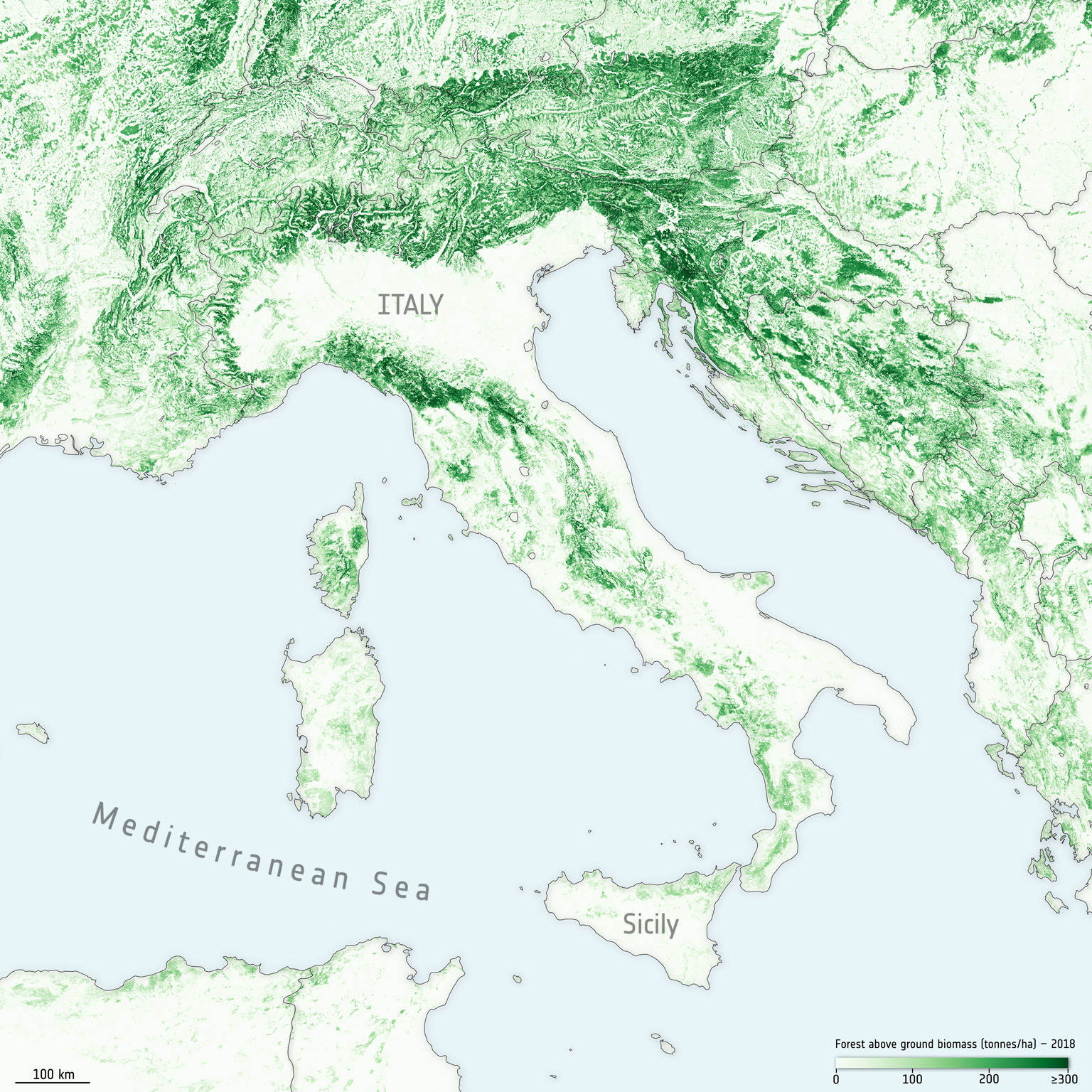 Above ground biomass in Italy